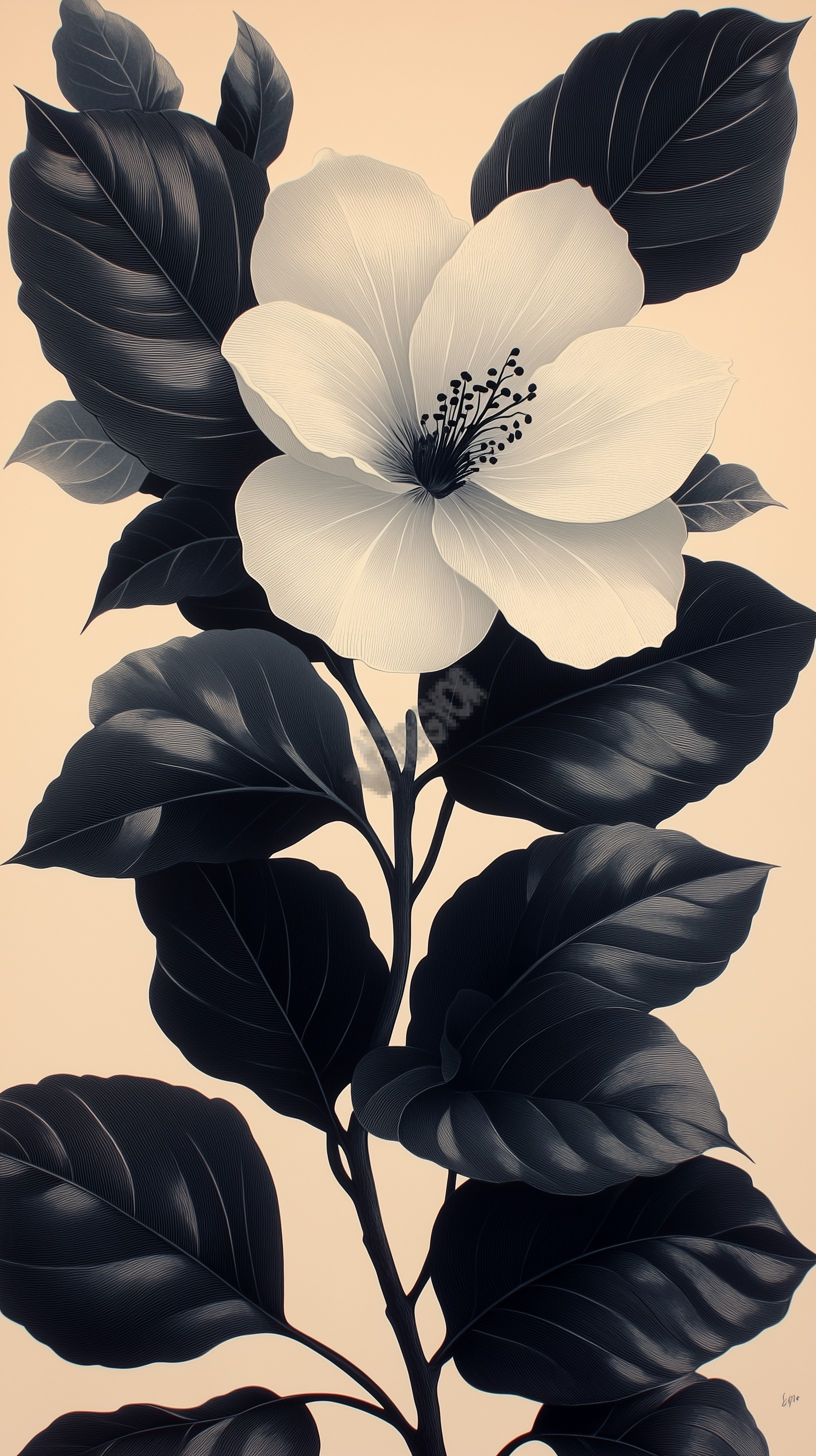flower  illustrations art