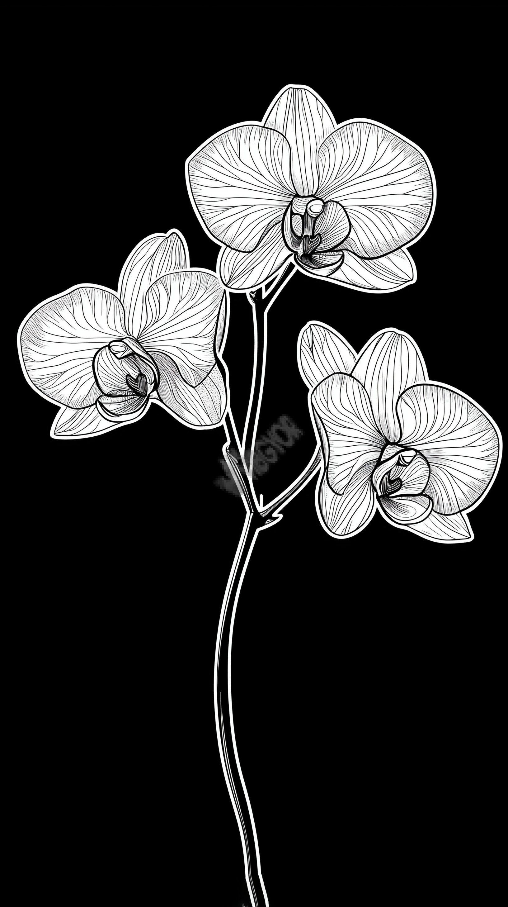 orchid flowers art